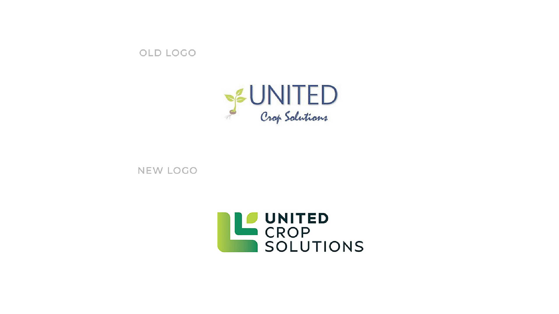 UCS Brand Identity-02